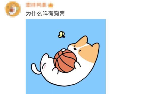 霸占俩热搜！小程序、APP崩了！这届铲屎官抢猫窝有点猛