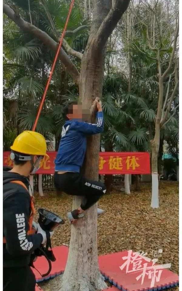 黄山螺旋洗砂机