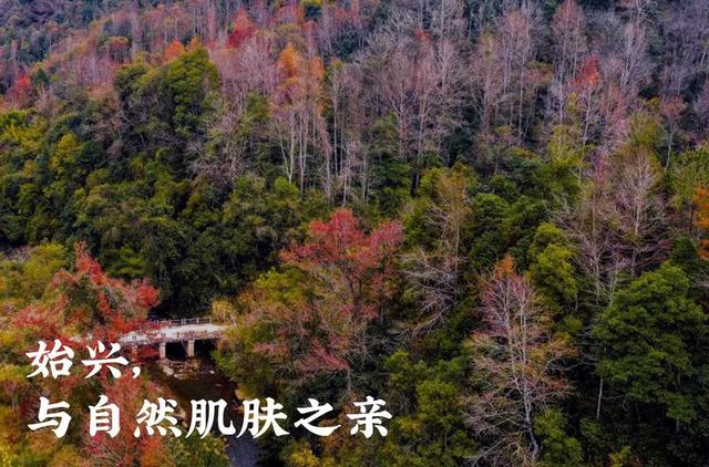 中國最美鄉村公路，就藏在廣東