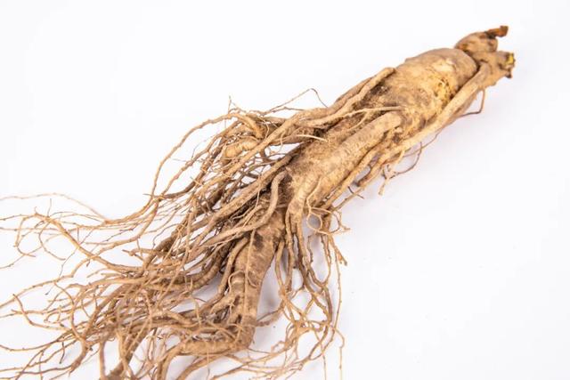 山药价廉功效多，推荐十六种用法