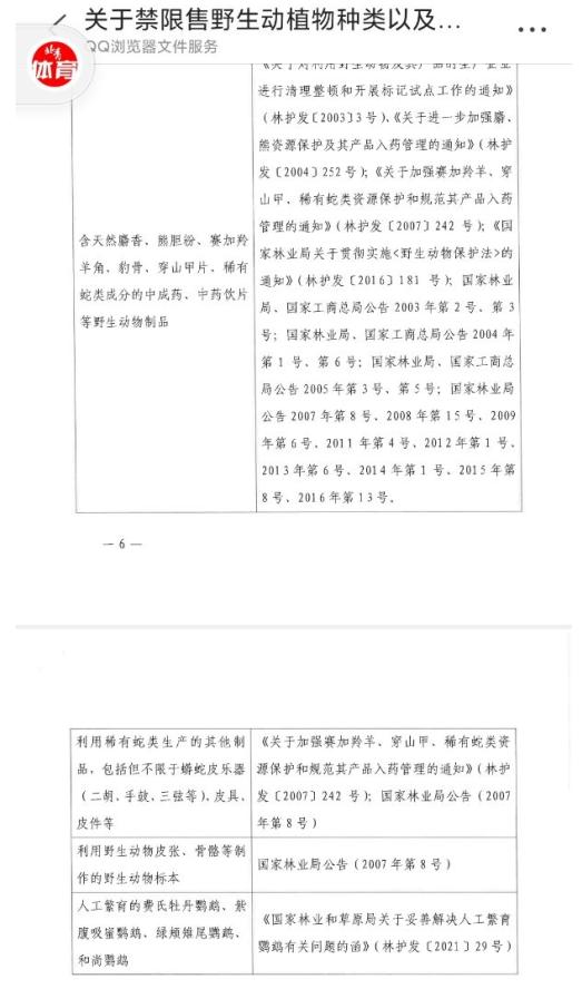 收缴的鹦鹉被怎样处理了（壹现场南昌鹦鹉案）(3)