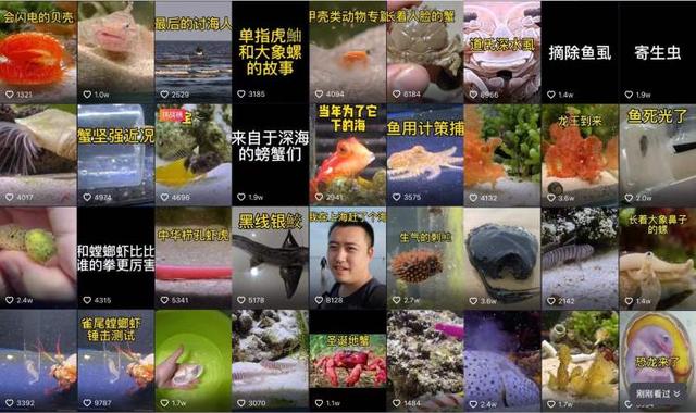 天水全自动过滤机