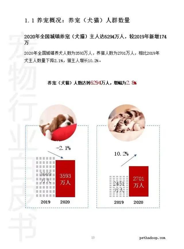 臺灣地震小朋友第一時間救貓咪