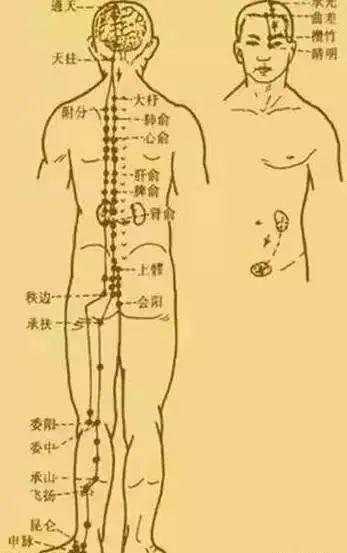 三九进九时间表，太实用了，送给大家！赶紧收藏