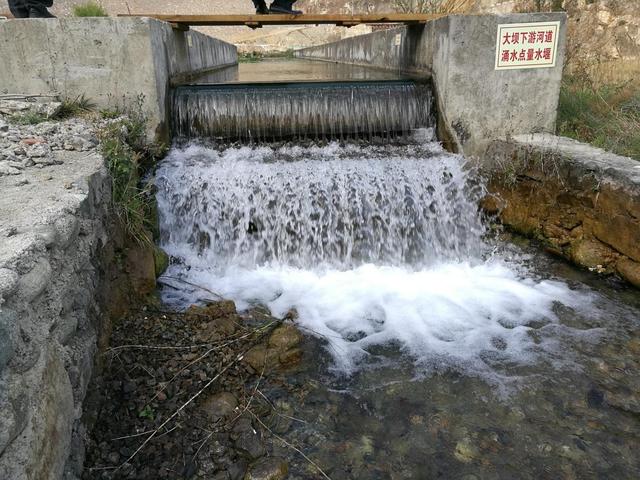 水冲制砂机多少钱一台