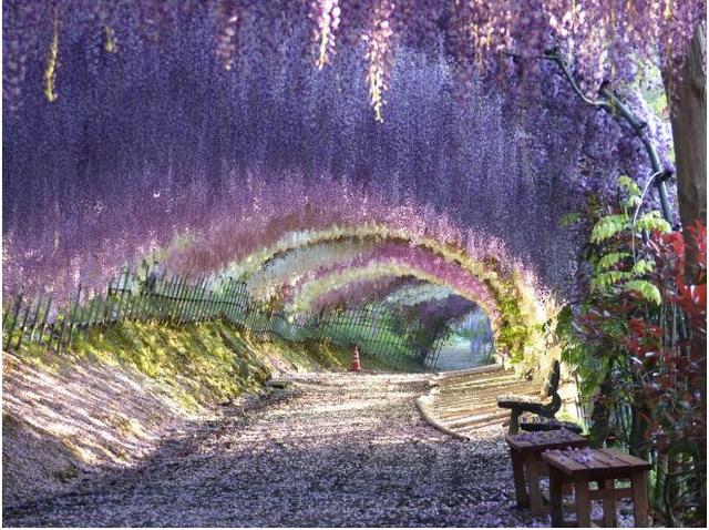 日本旅游景点