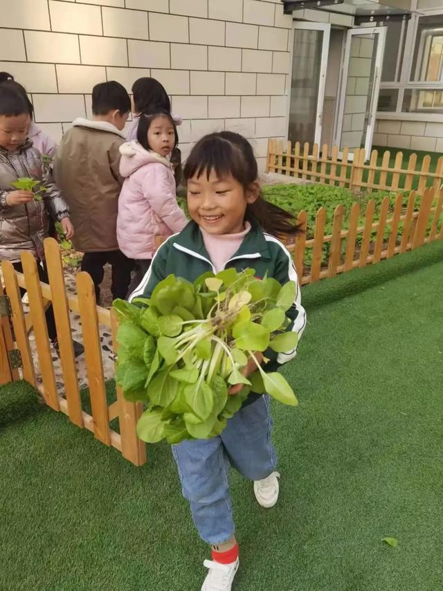 新华颍新幼儿园：与自然共融 向未来生长