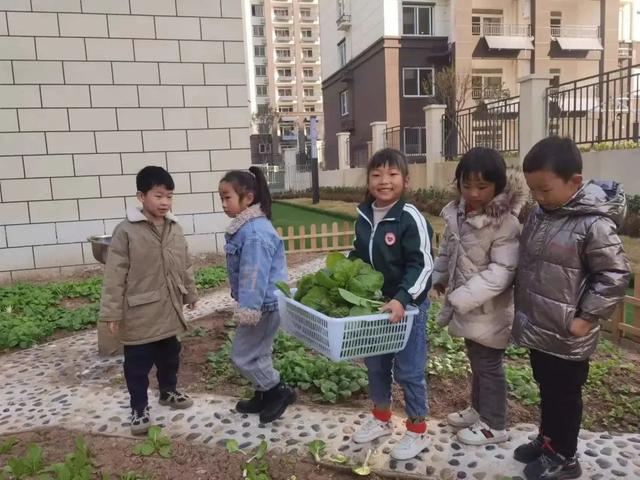 新华颍新幼儿园：与自然共融 向未来生长