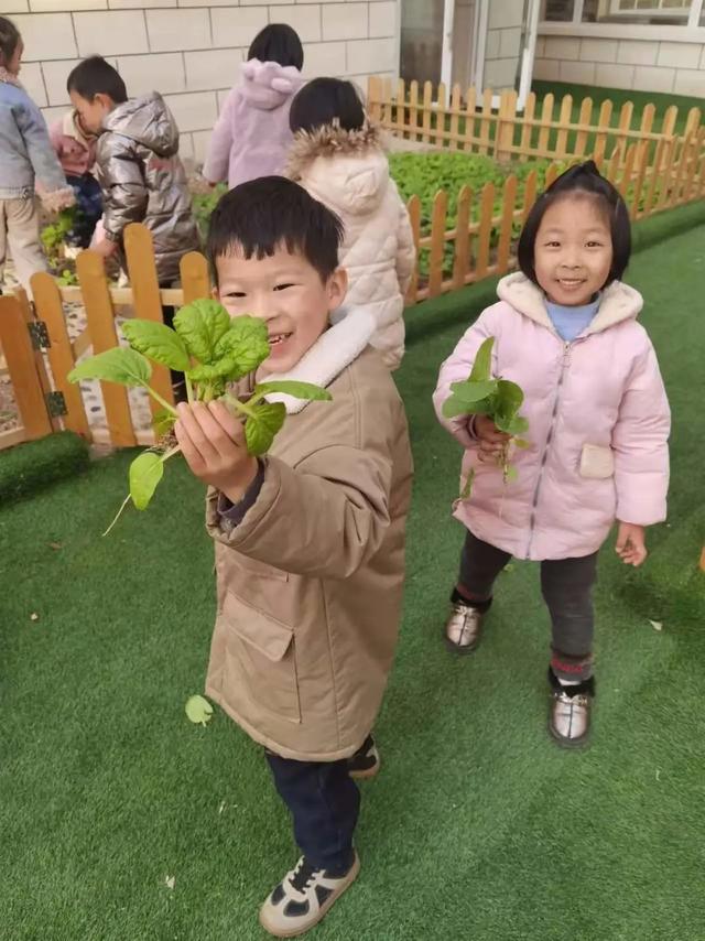 新华颍新幼儿园：与自然共融 向未来生长