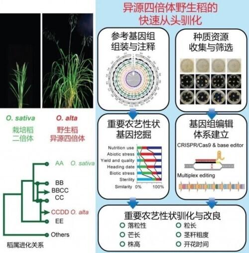 液压开箱式制砂机损耗费用