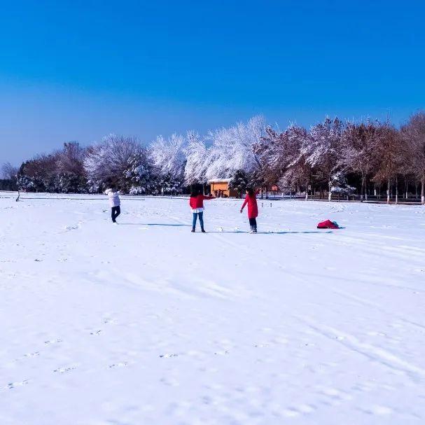 冬遊甯夏 助力冬奧丨冬季來沙湖，領略那塞北獨特的曼妙