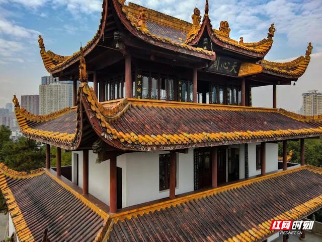 峰云工程机械展