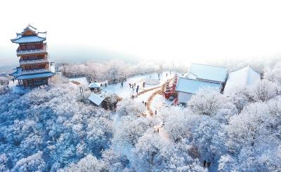 逆勢而上，他們做對了什麽？——疫情之下旅行業如何突圍系列報道（中）