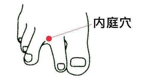脾胃虚弱,三分治七分养,送你一道食疗方