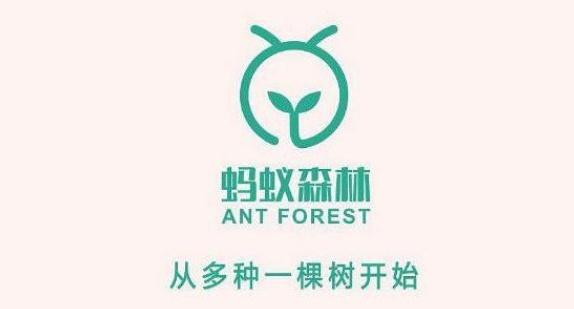 蚂蚁森林保护罩（蚂蚁森林保护罩没有兑换怎么会有）