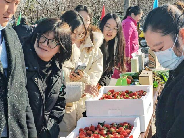 姜堰机械展