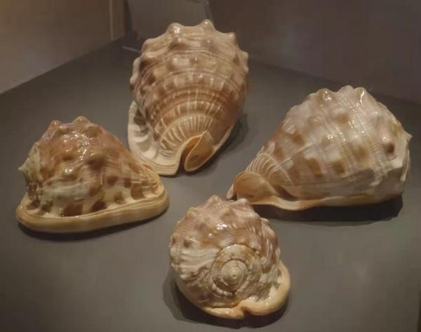 地质机械展