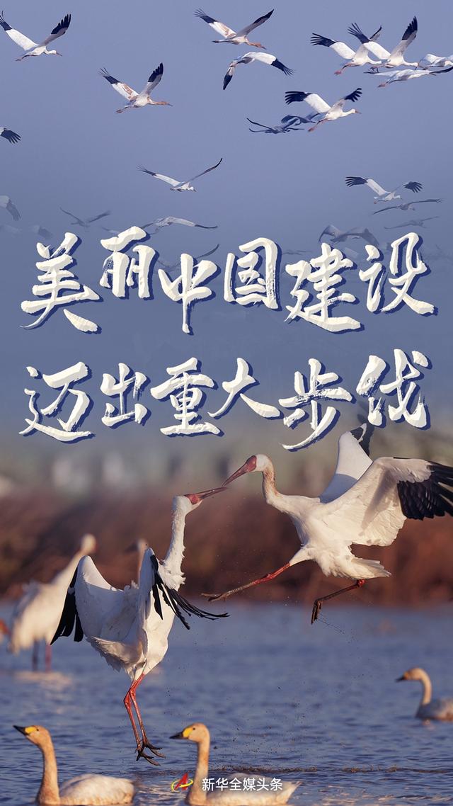 关于沈阳箱式制砂机的信息