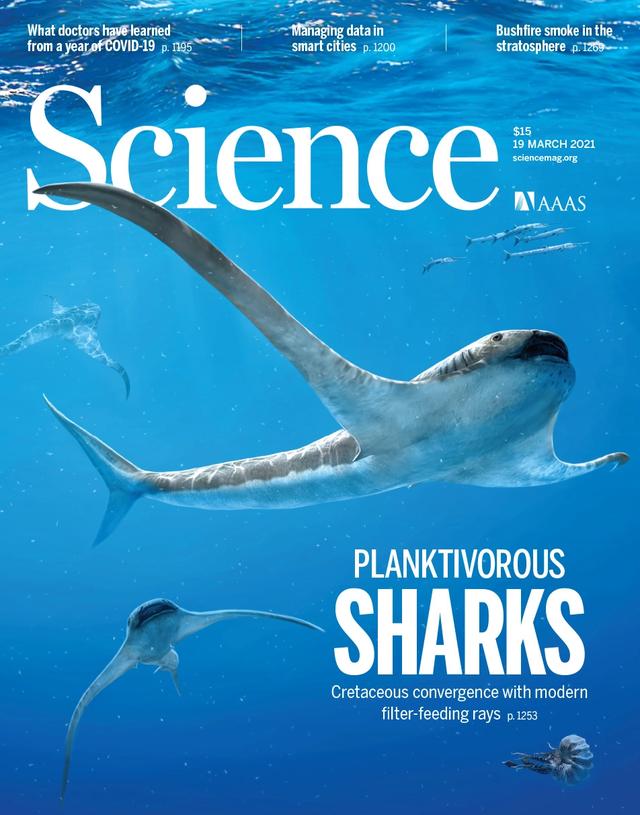 2021年登上Science封面的地球科学发现
