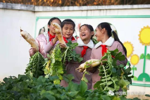 巴中鹅卵石破碎制砂机多少钱
