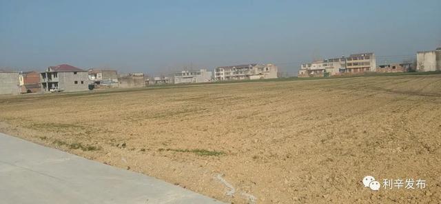 利辛县展沟镇大工程