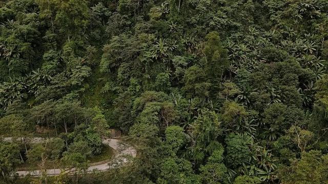 大理砂石洗砂设备价格