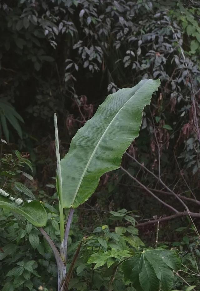 大理砂石洗砂设备价格
