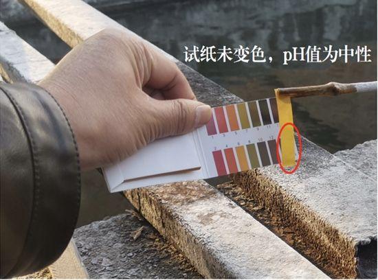 关于陕西特种压滤机的信息