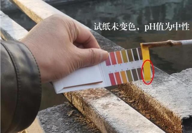 陕西特种压滤机厂家