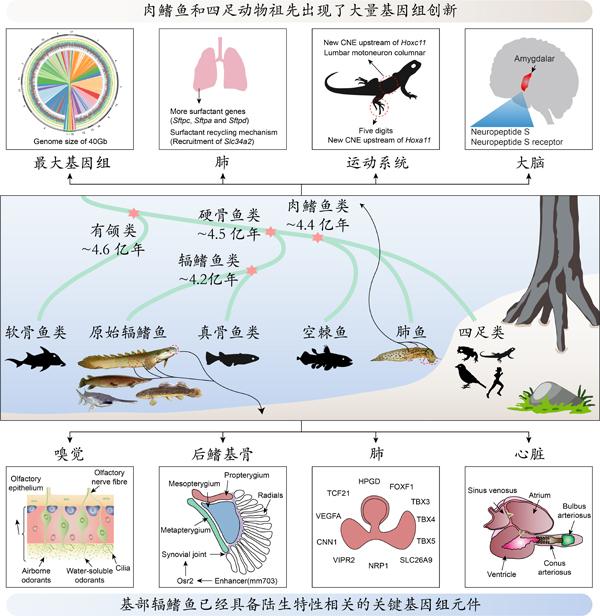 全国青少年行为矫正学校排名(青少年心理矫正机构排行榜)(图2)