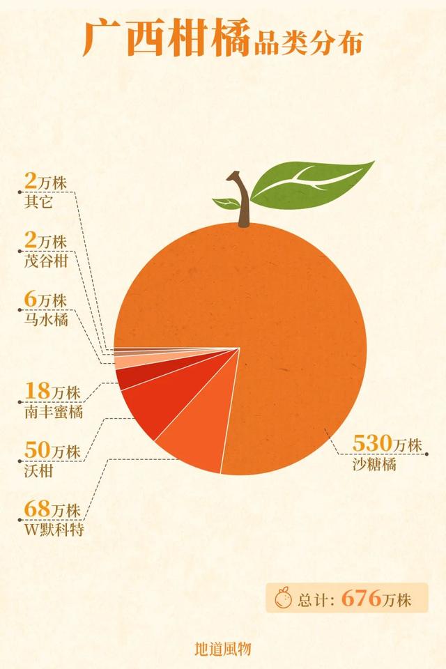 557亿斤！中国“水果王国”，为什么是广西？18