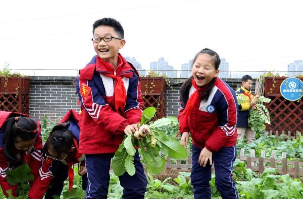 不做试卷做劳动 这群小学生的期末 考试 是拔萝卜