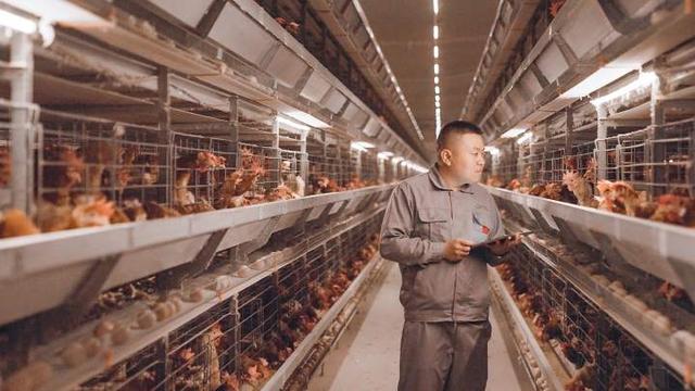 泸西轮斗洗砂机品牌推荐