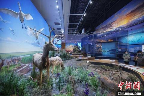 盐城顺展建设工程公司