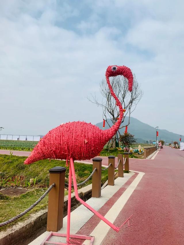 漳浦印刷机械展举办费用