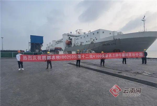 海南四排轮斗洗砂机供应商的简单介绍