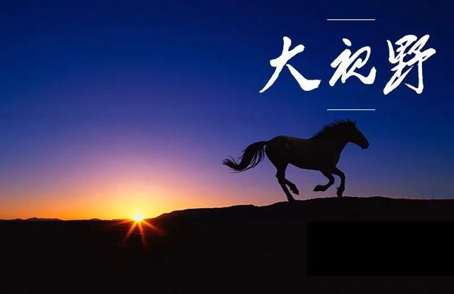 临朐展新工程机械租赁