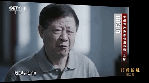 贵阳展叶绿化工程公司