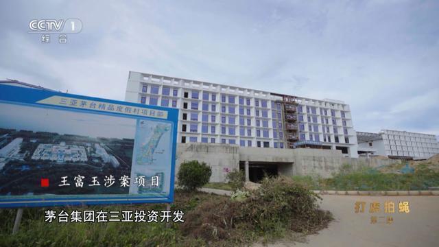 贵阳展叶绿化工程公司