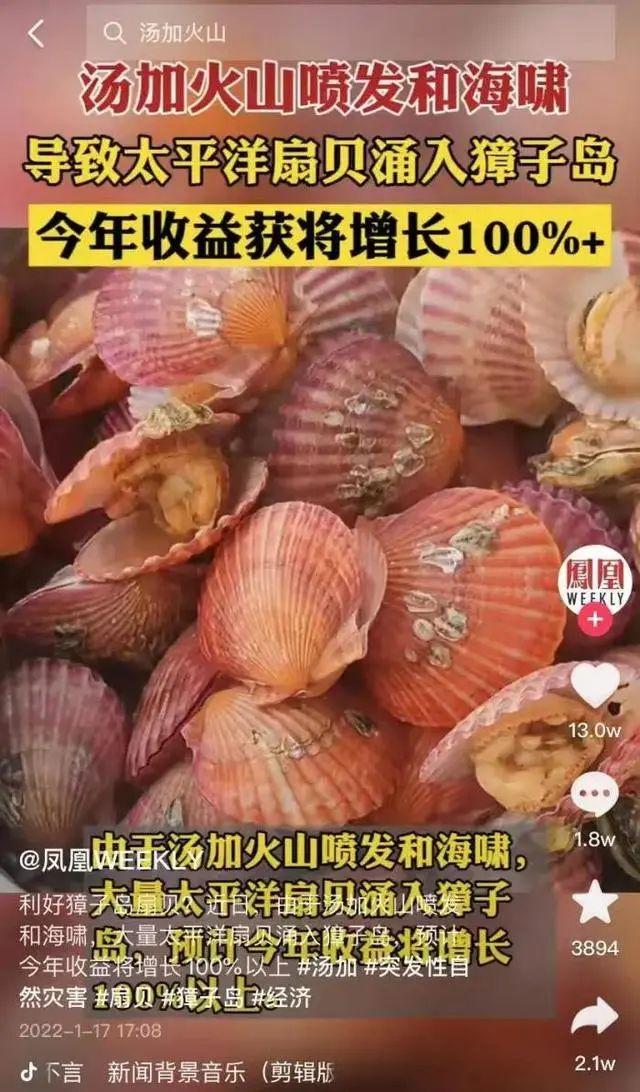关于鱼排裹粉油炸机压滤机报价的信息