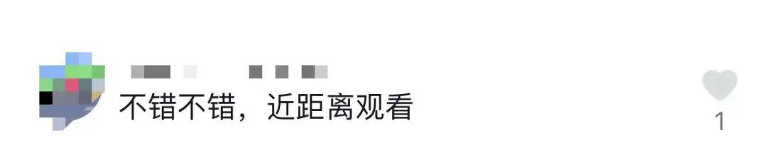 2021杭州国际工程机械展