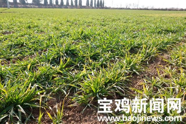 包含宝鸡移动式制砂机多少钱的词条