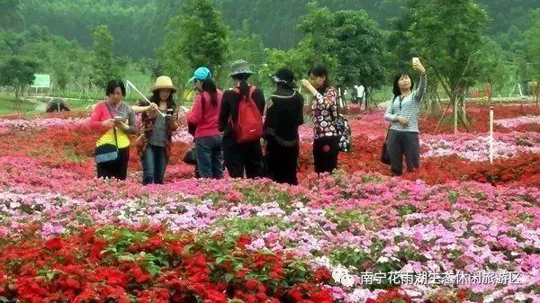 南阳市小型鹅卵石制砂机