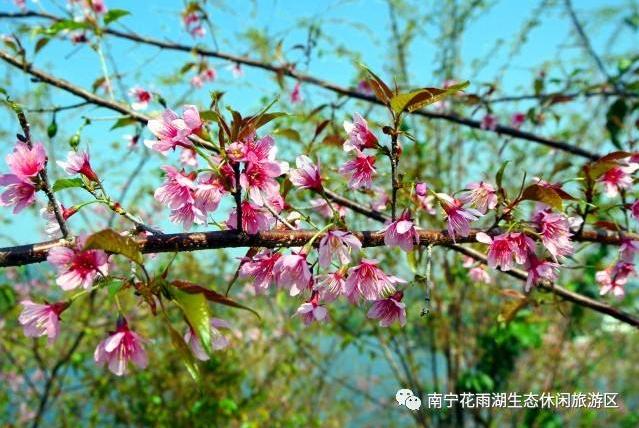 南阳市小型鹅卵石制砂机