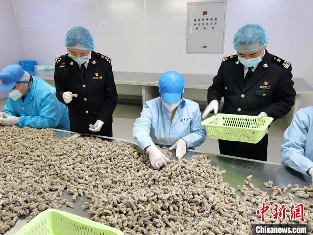 关于昆明50吨制砂机厂家的信息
