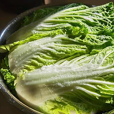 生姜专用破碎机推荐