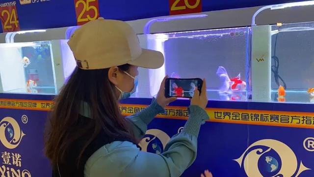 水族工程展