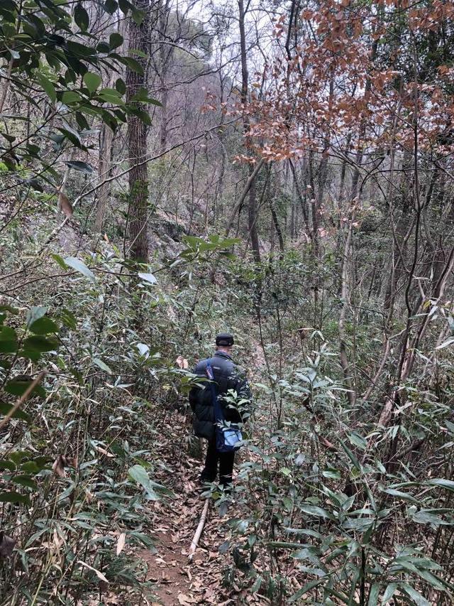 扬州大型鹅卵石制砂机视频