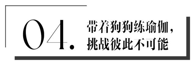 2020年深圳机械展10号馆 2020年深圳机械展10号馆