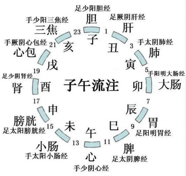 十二时辰按摩养生法